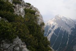 2011-04-24_Regina-F-Rau_Brunnstein-Spitze (161).JPG